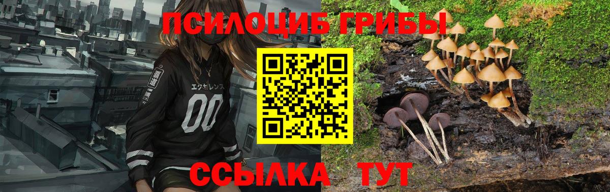 Малгобек  Псилоцибиновые грибы MAGIC MUSHROOMS  Вход с VPN 